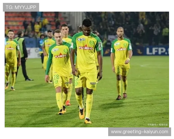 南特俱乐部最新动态揭秘球队战绩与未来发展规划